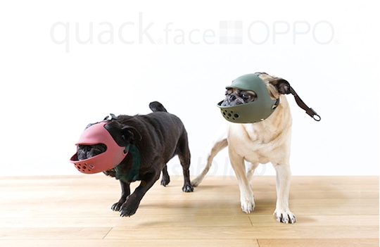 Quack Face Dog Muzzle